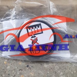 nắp két nước hyundai starex