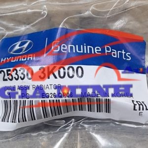 nắp két nước hyundai starex