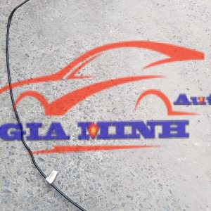 ống cấp xăng daewoo gentra
