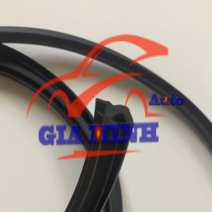 GIOĂNG KÍNH CHẮN GIÓ FORD LASER