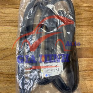 GIOĂNG CÁNH CỬA SAU TRÁI DAEWOO LEGANZA