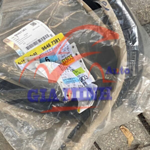 GIOĂNG KHUNG CỬA DAEWOO GENTRA, CHEVROLET AVEO