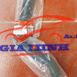 ống két nước trên ford focus