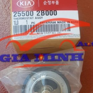 van hằng nhiệt kia morning