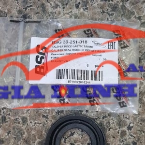 cuppen phanh sau ford transit