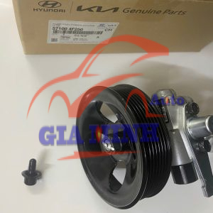 BƠM TRỢ LỰC LÁI HYUNDAI STAREX, LIBERO, PORTER 2, H150