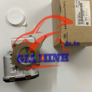 CỤM BƯỚM GA HYUNDAI ACCENT