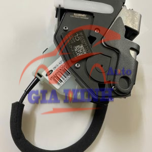 Ổ KHÓA NGẬM CỐP HẬU FORD ECOSPORT