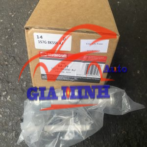 CỤM CHIA NƯỚC FORD FOCUS 2005 - 2010