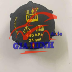 NẮP BÌNH NƯỚC PHỤ FORD ECOSPORT, FIESTA