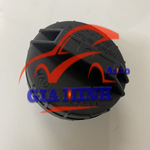 NẮP BÌNH XĂNG TRONG KIA MORING