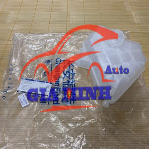 BÌNH NƯỚC PHỤ FORD ECOSPORT, FIESTA