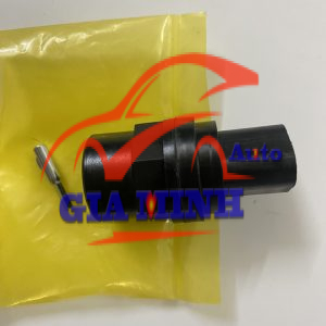 SÂU CÔNG TƠ MÉT ĐIỆN KIA 1T4