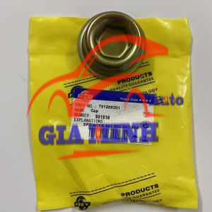 ĐỒNG TIỀN MERCEDES SPRINTER 313