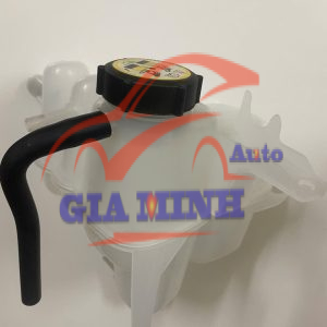 BÌNH NƯỚC PHỤ FORD ESCAPE