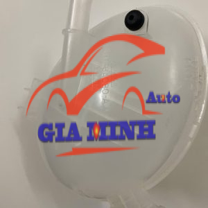 BÌNH NƯỚC PHỤ FORD ECOSPORT