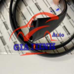 NẸP NÓC TOYOTA FORTUNER 2009 - 2012