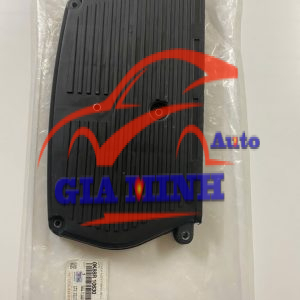 ỐP CAM TRÊN KIA BONGO 3