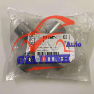 BI CÁC ĐĂNG CẦU SAU CHEVROLET TRAILBLAZER, COLORADO