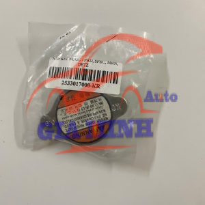 NẮP KÉT NƯỚC KIA PRIDE, SPECTRA, MORNING, HYUNDAI GETZ