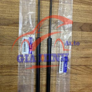 TY CHỐNG CỐP SAU HYUNDAI I10