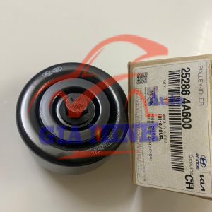 BI TỲ TỔNG DƯỚI HYUNDAI H150, N250, HD35, PORTER 2, SOLATI