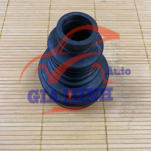 CAO SU CHỤP BỤI LÁP TRONG AUDI