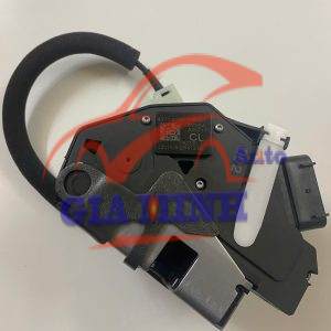 Ổ KHÓA NGẬM CỐP HẬU FORD ECOSPORT