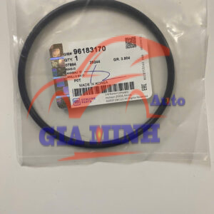 GIOĂNG BƠM XĂNG DAEWOO NUBIRA, LACETTI, LANOS, GENTRA