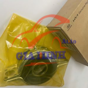 BI QUANG TREO HYUNDAI STAREX