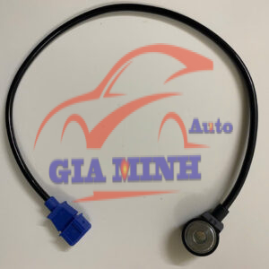 CẢM BIẾN KÍCH NỔ SUZUKI 5 TẠ