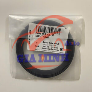 GIOĂNG CAM NHỎ AUDI A4